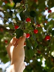 8 pictures - Clara Mabee Sniffin Cherries