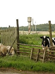 8 pictures - Ulyana Orsk Town of Light 2