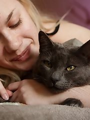 8 pictures - Wren Davis Cats And Stars